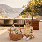 Baby Girls Yellow Striped Smocked Dress Set